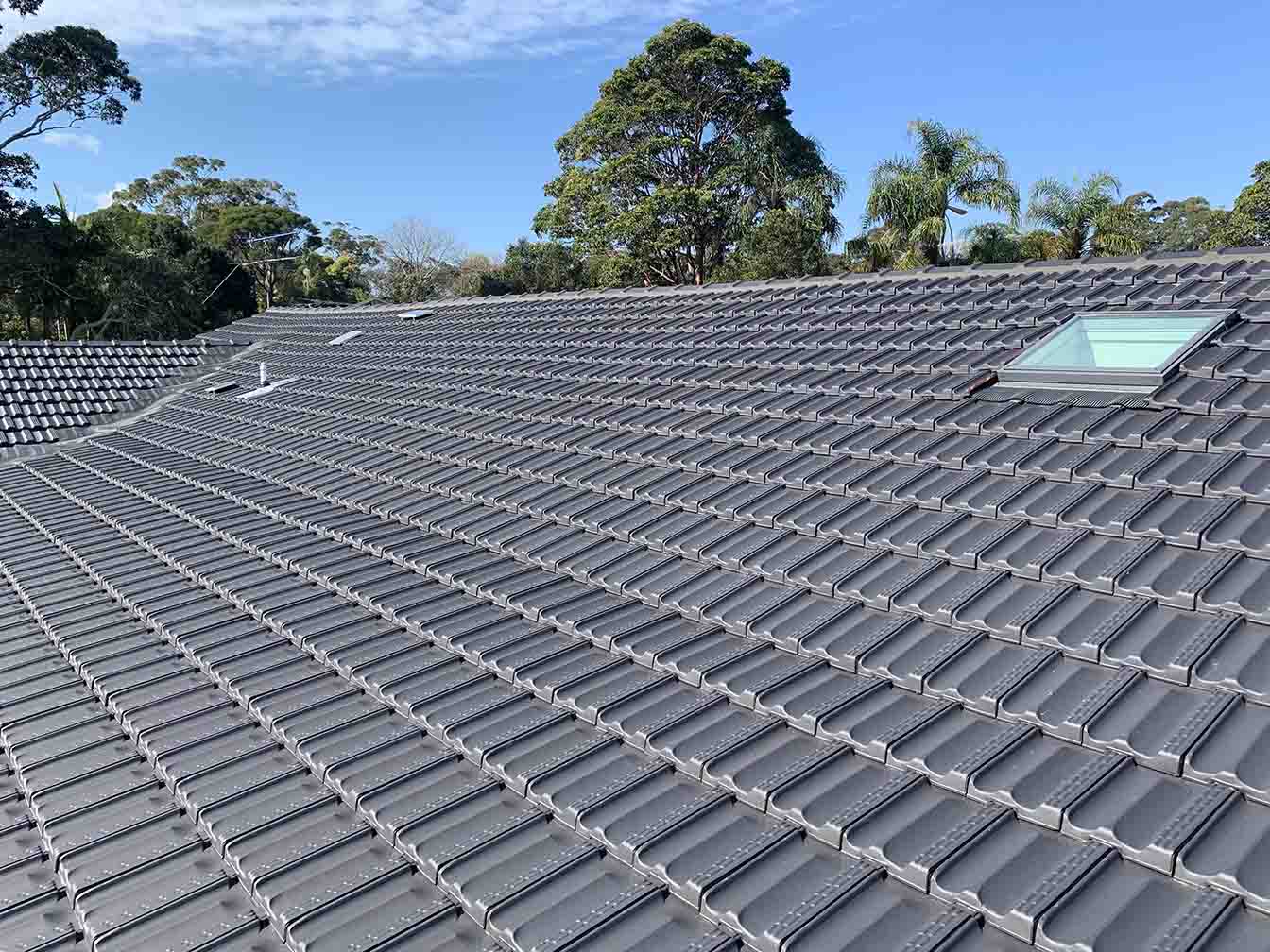 Dark grey tiled roof with a skylight, trees behind