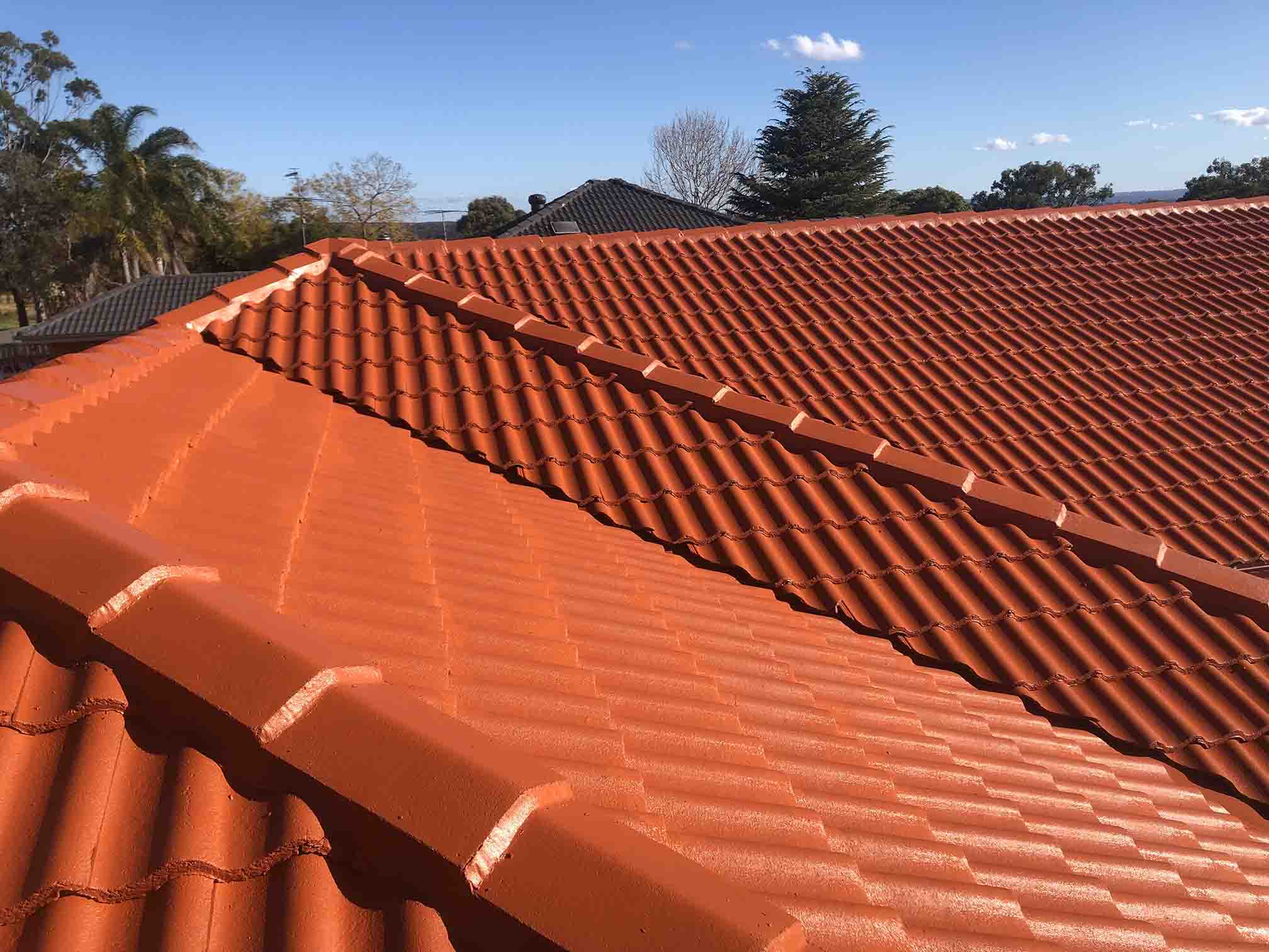 Terracotta tiled roof ridge lines under a blue sky